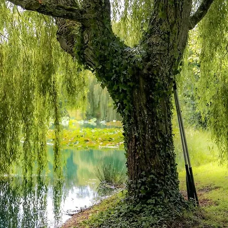 Haras Du Ry Holiday home *