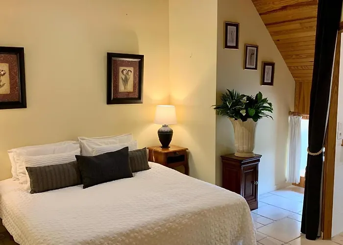 Haras Du Ry Brevands