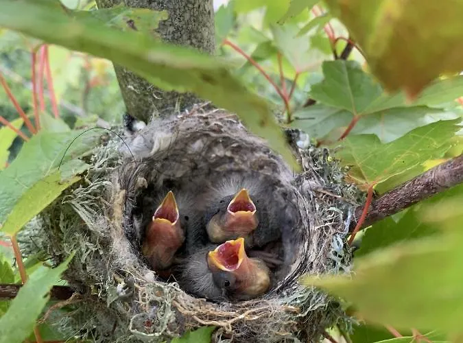 Дом отдыха Haras Du Ry