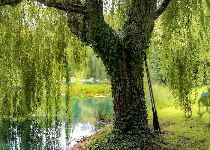 Haras Du Ry Holiday home *